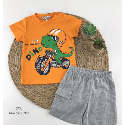 Conjunto Dinodino N