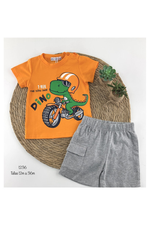 Conjunto Dinodino N